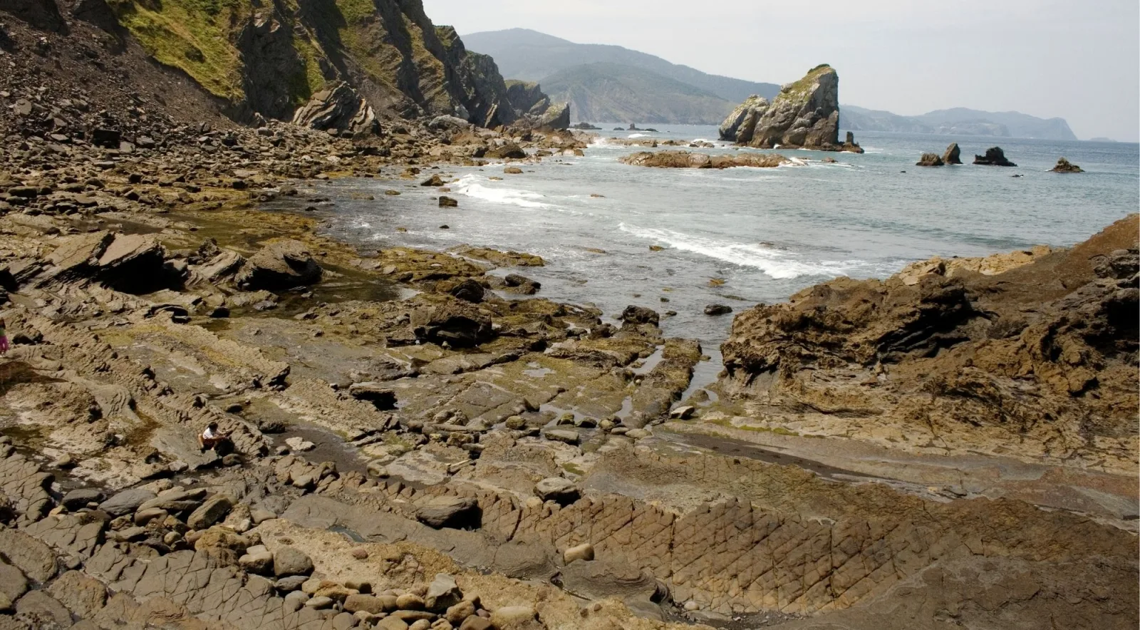 Layered flysch rock shelves and sea stacks on the Basque coast near Gaztelugatxe at low tide